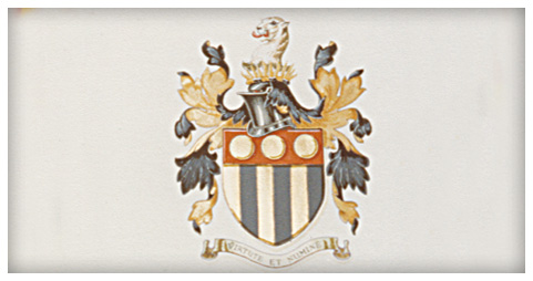 Coat of Arms Illustration Example